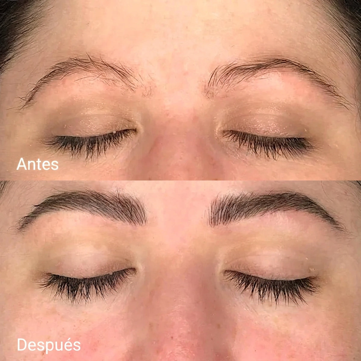 Sérum de Crecimiento para Cejas