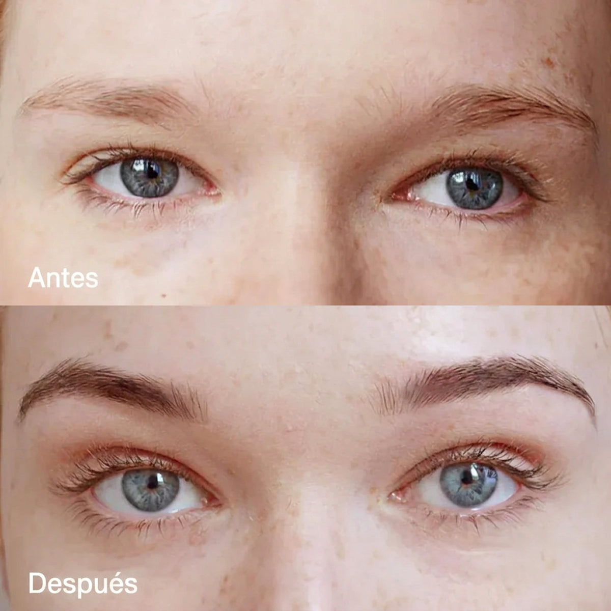 Kit de Sérum para Pestañas y Cejas